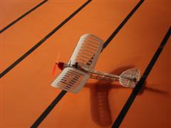 IMG_ 0097.jpg